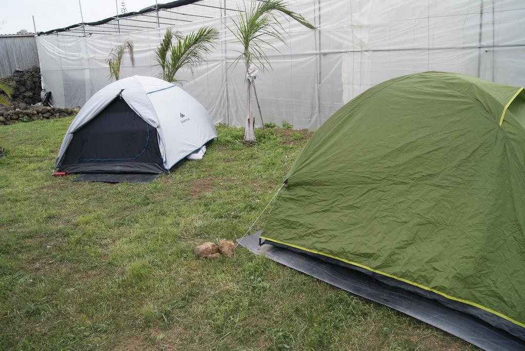 Camping Invernaderito Tejina Kültér fotó